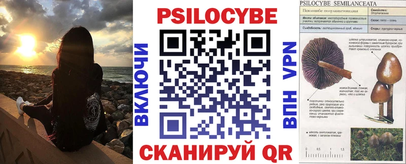 Псилоцибиновые грибы Cubensis  Октябрьский 